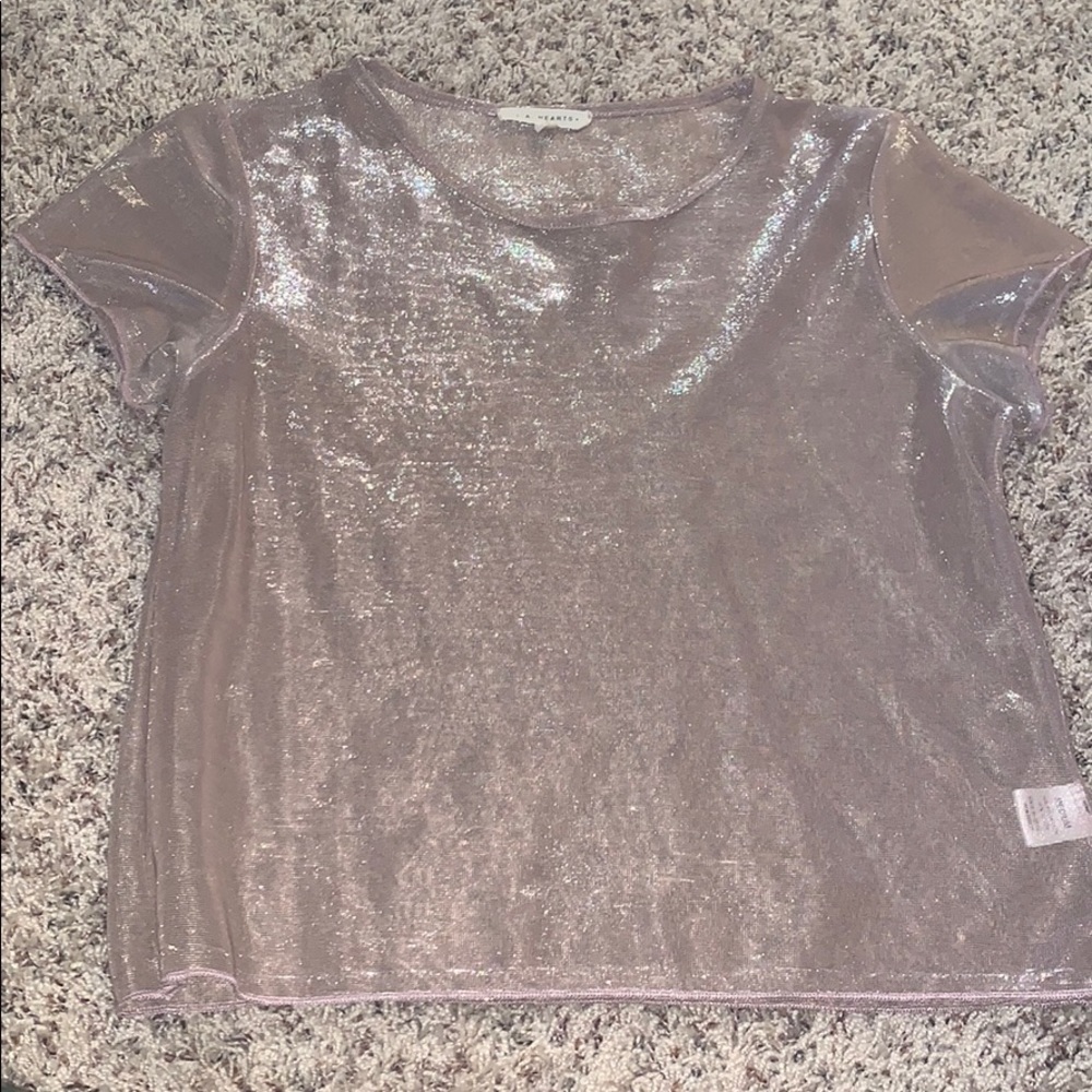 Shiny See Through Top